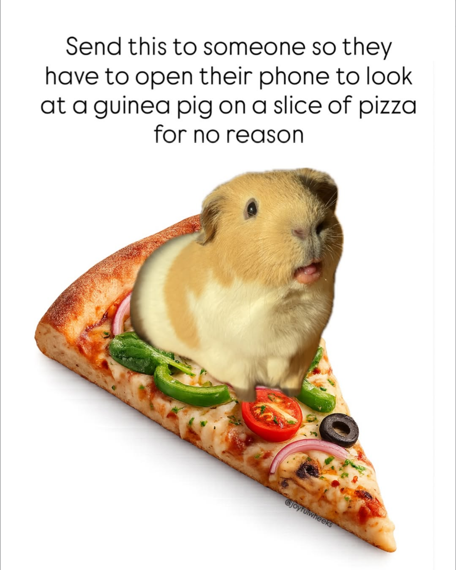 4407b6126bdf46909cec3b1d9ad441ea.1779212110.372379.png