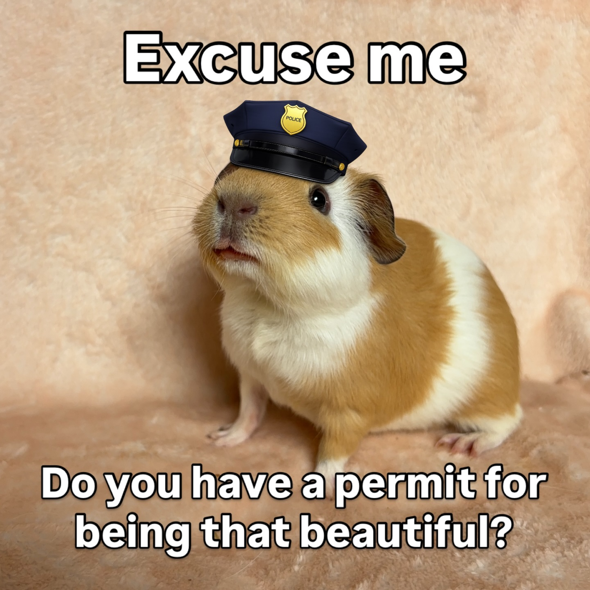 69c17d39bf984d91a4837b8fd7ec9b04.1781337349.622669.png